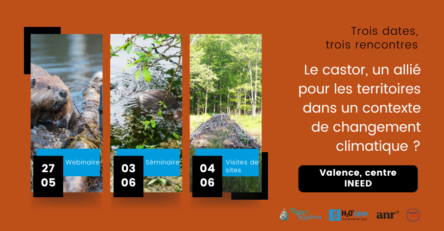 image Séminaire - Le castor, un allié pour les territoires dans un contexte de changement climatique ? 