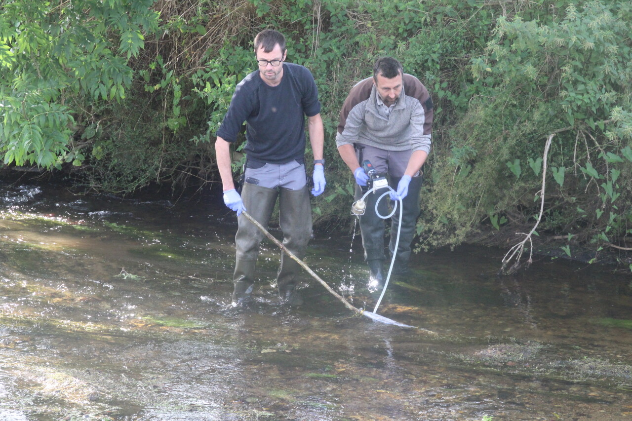 image Bretagne : connaissez-vous cette moule de plus en plus rare qui vit dans les rivières ?