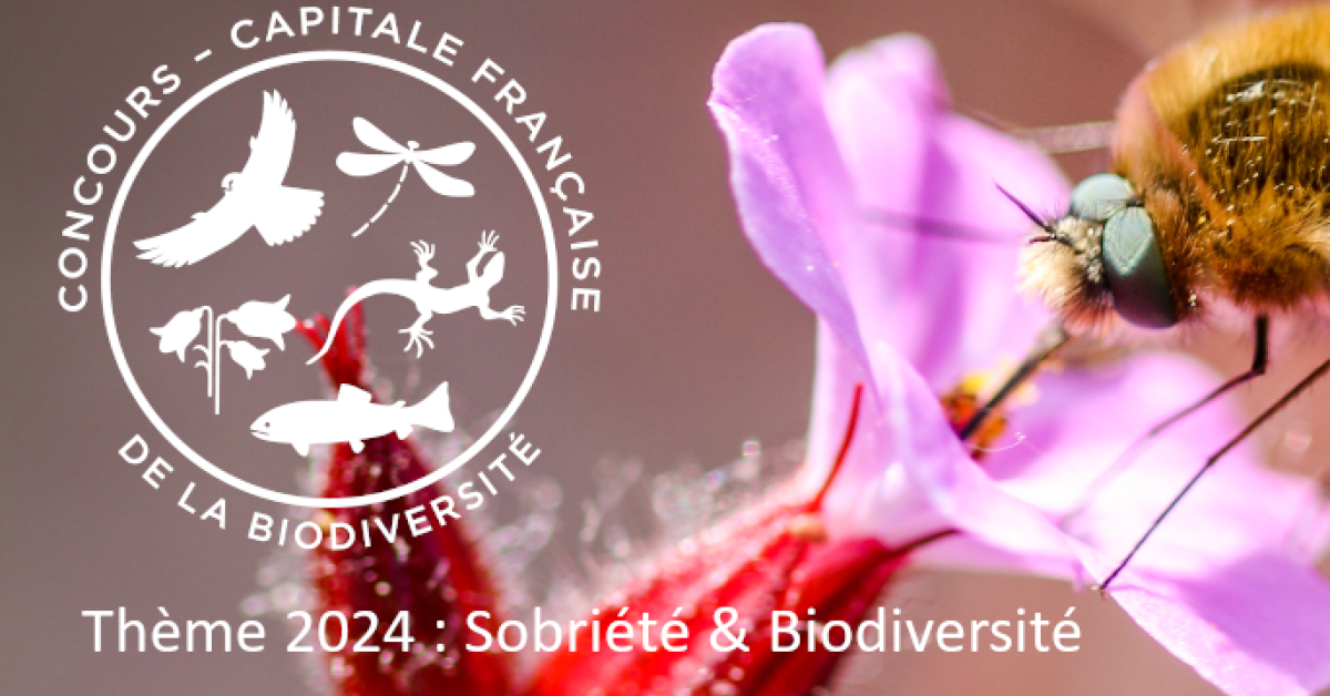 image Les sept lauréats 2024 du concours « Capitale française de la biodiversité »