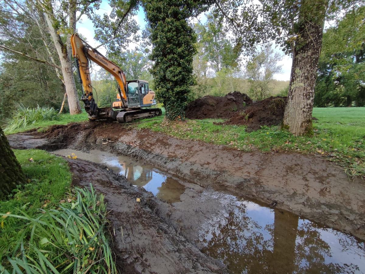 image Biodiversité : des chantiers menés pour « renaturer » la rivière Isle, en Dordogne