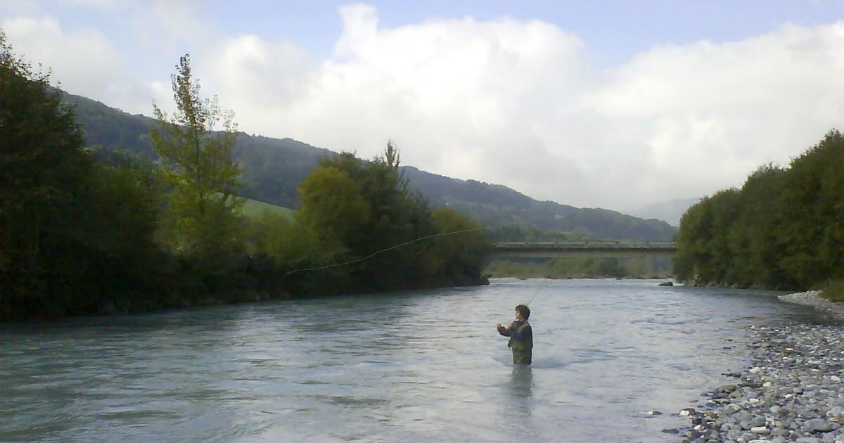 image Haute-Savoie. Réduction des polluants industriels dans l’Arve : les truites leur disent merci !