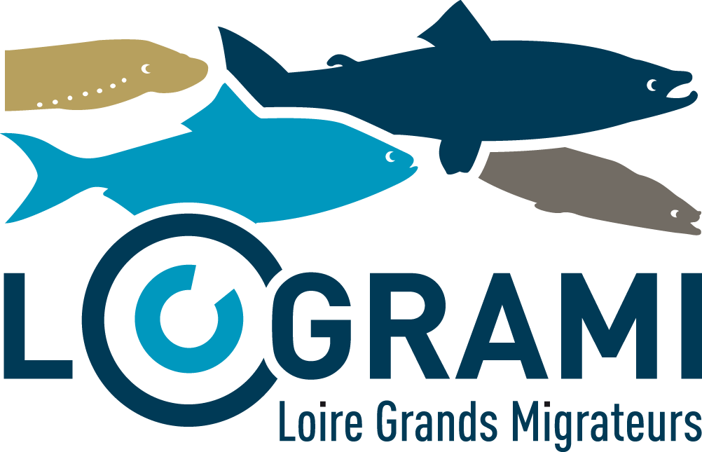 image Supervision scientifique des travaux menés dans le cadre du développement du modèle dynamique de population du saumon de l’Allier