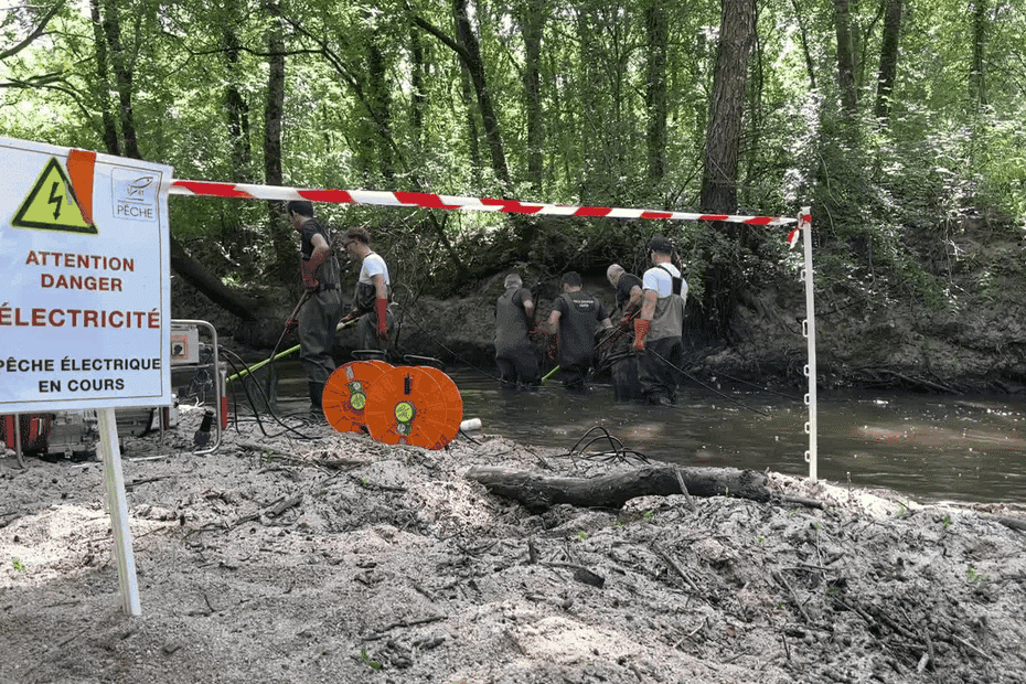 image Préserver les poissons et maintenir les débits en périodes de sécheresse : des travaux pour adapter les rivières au réchauffement climatique