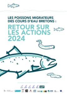 image Le bilan des actions en faveur des poissons migrateurs pour 2024 vient de paraître ! – ATBVB