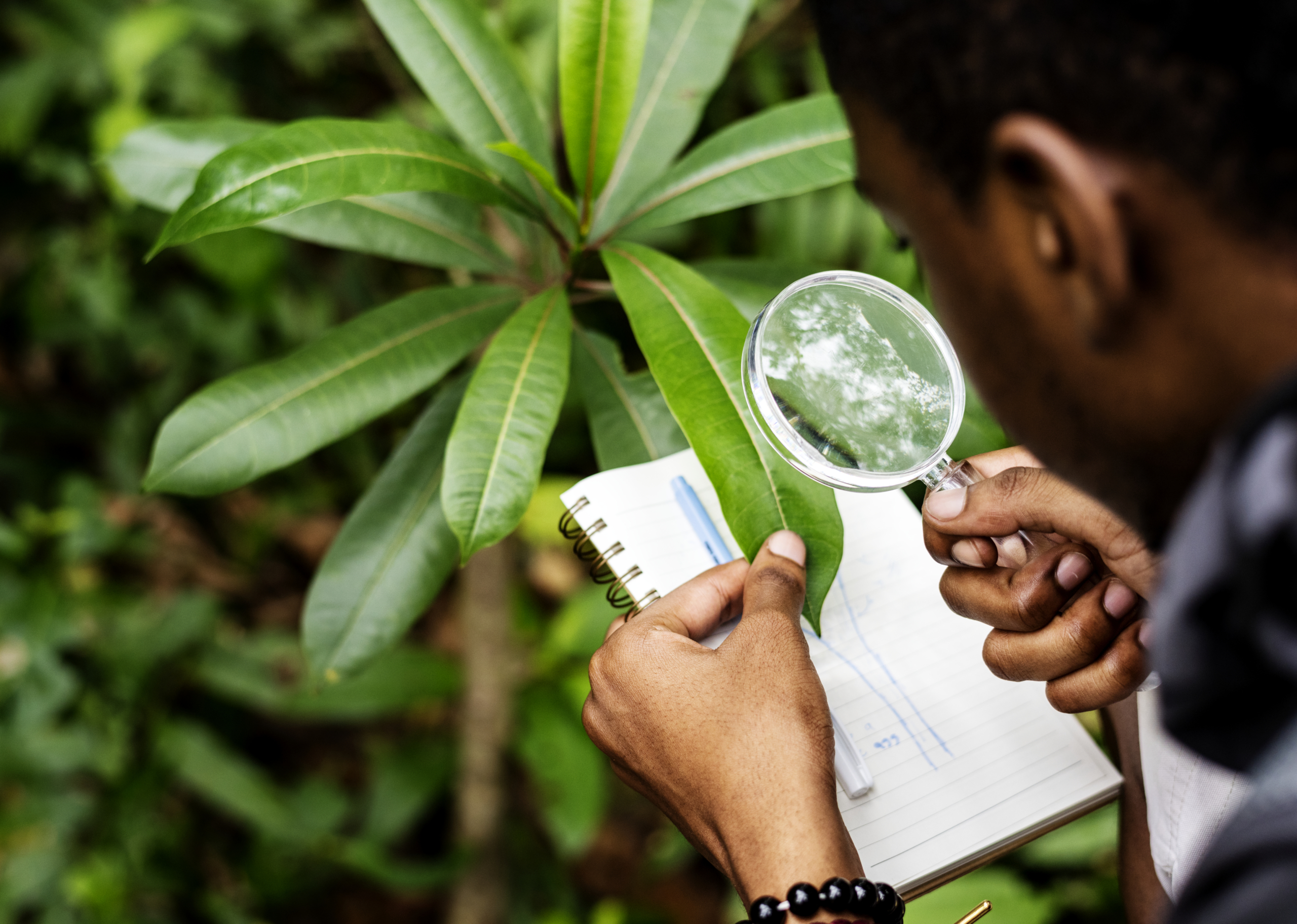 image Proches - Une plateforme qui réunit le monde de la recherche académique les acteurs de la société sur les enjeux de biodiversité