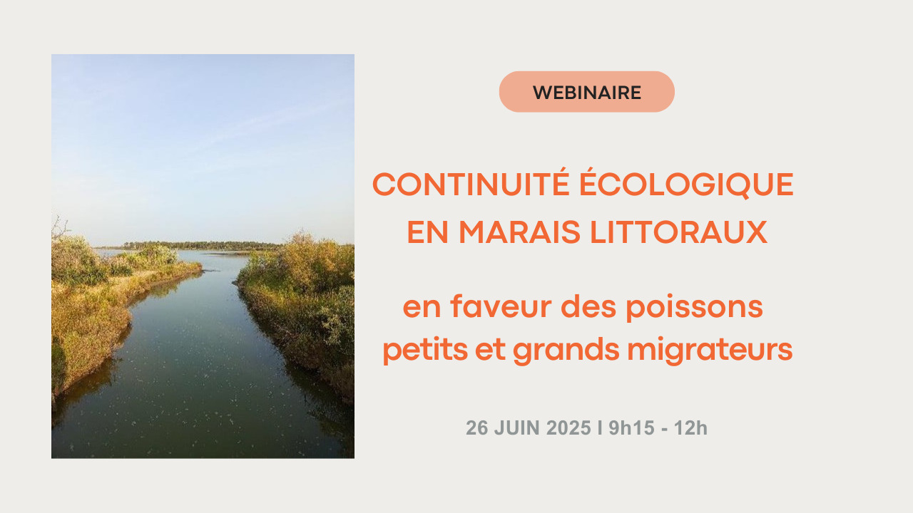 image Continuité écologique piscicole en marais littoraux