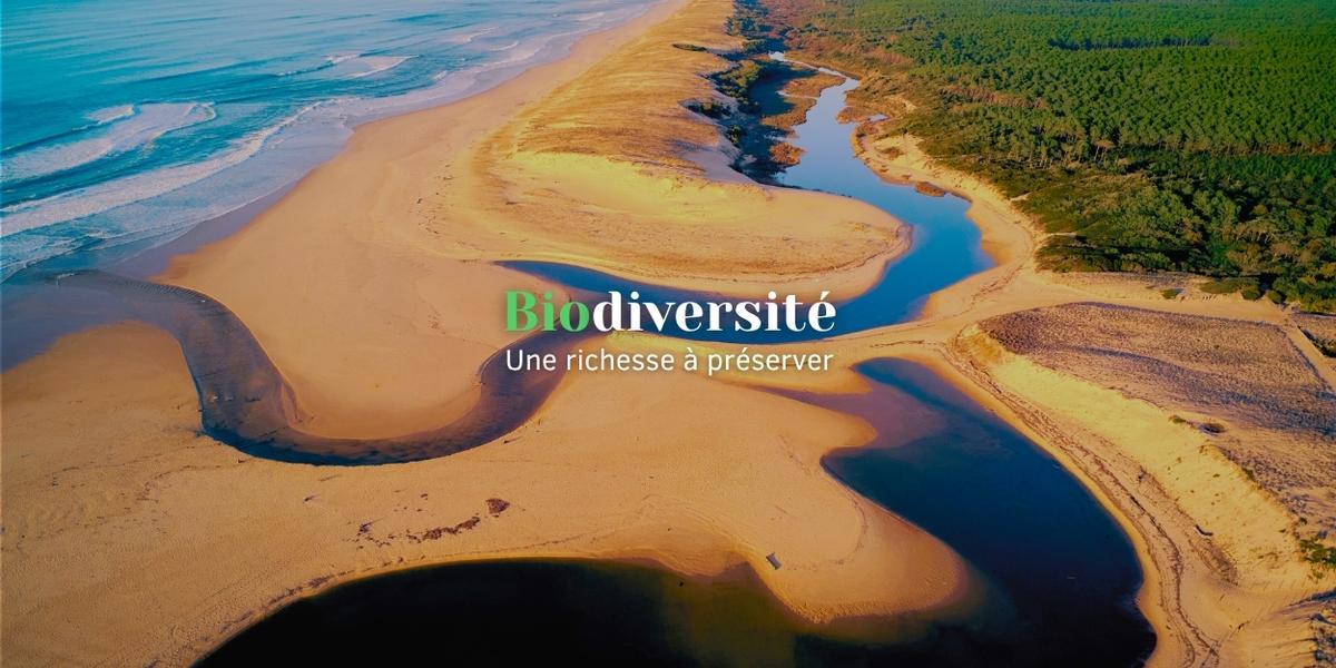 image Biodiversité, une richesse à préserver : notre dossier spécial