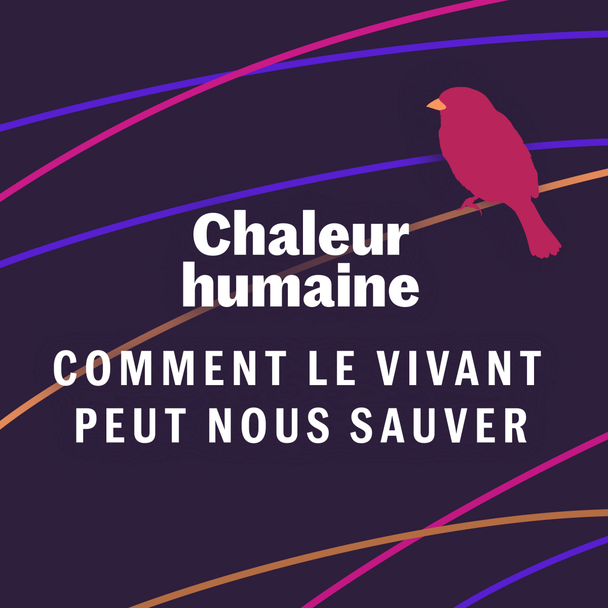 image La moule de rivière - Comment le vivant peut nous sauver (2/6) 