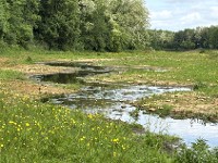 image Le ruisseau qui voulait faire des virages