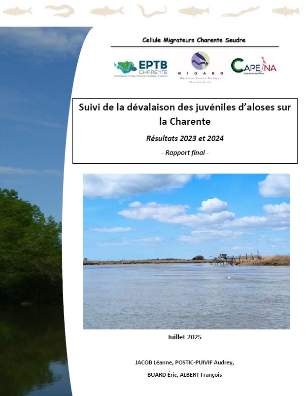 image Le rapport Alosons 2023-2024 est sorti !