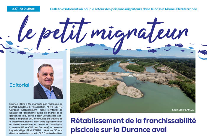 image Poissons Migrateurs - nouveau numéro Le Petit Migrateur #37