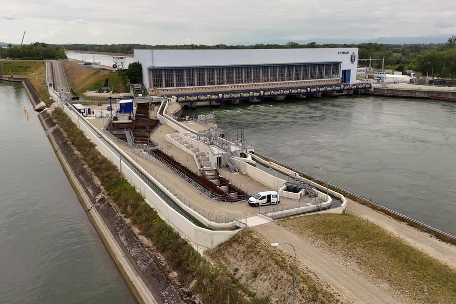 image 80 millions d'euros pour des passes à poissons d'un kilomètre sur le Rhin : 