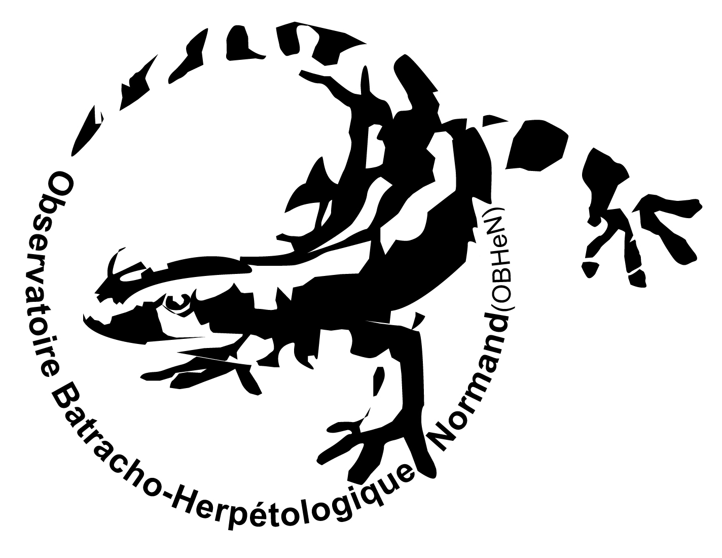 image L’OBHeN (Observatoire Batracho-Herpétologique Normand) fête ses 20 ans !