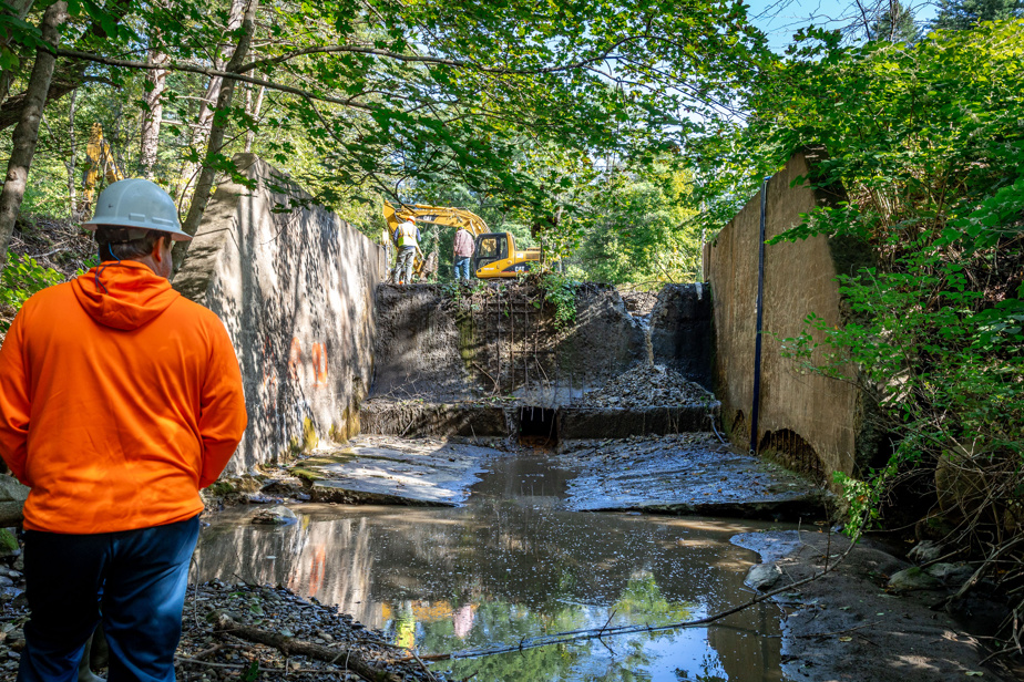 image De 0 à 2 millions de poissons en deux ans