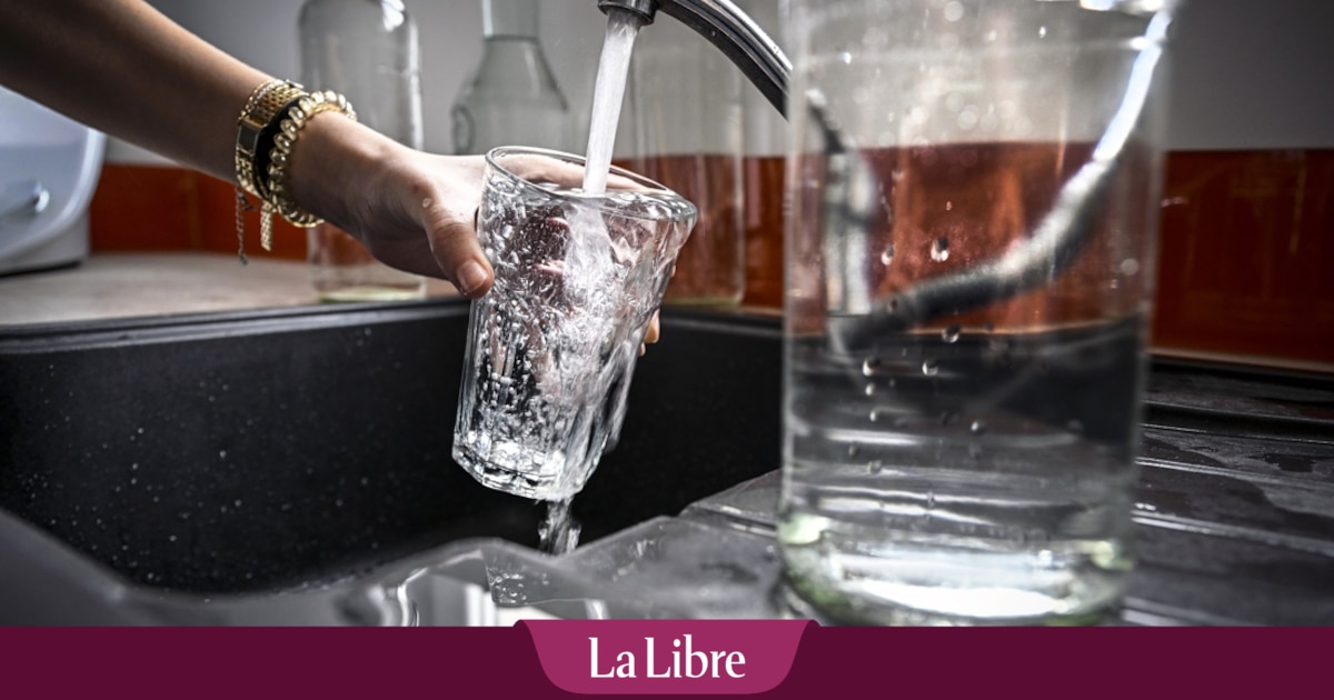 image Pourquoi la facture d'eau en Wallonie est-elle plus chère qu'à Bruxelles ou en Flandre ? - La Libre