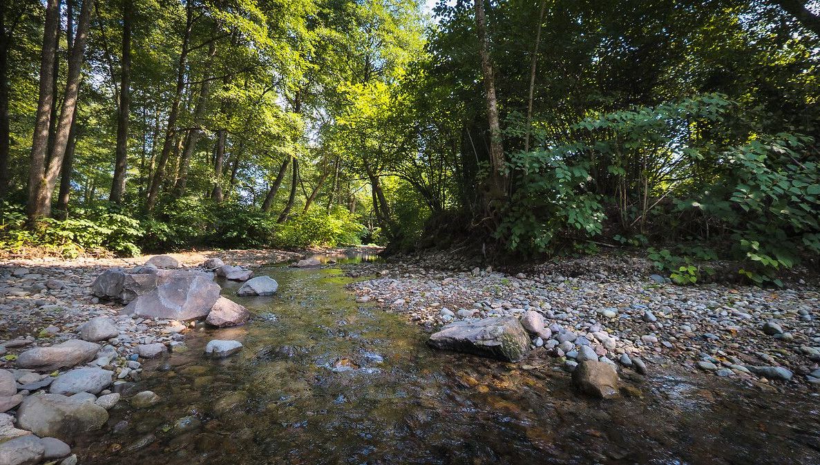 image Sécheresse dans la Manche : les cours d'eau sont au plus bas, la migration des poissons menacée