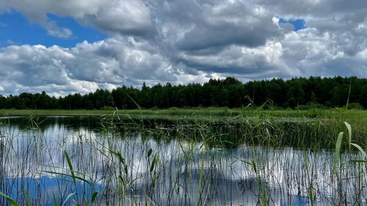 image Le «littoral» des lacs: un élément clé du cycle global du carbone
