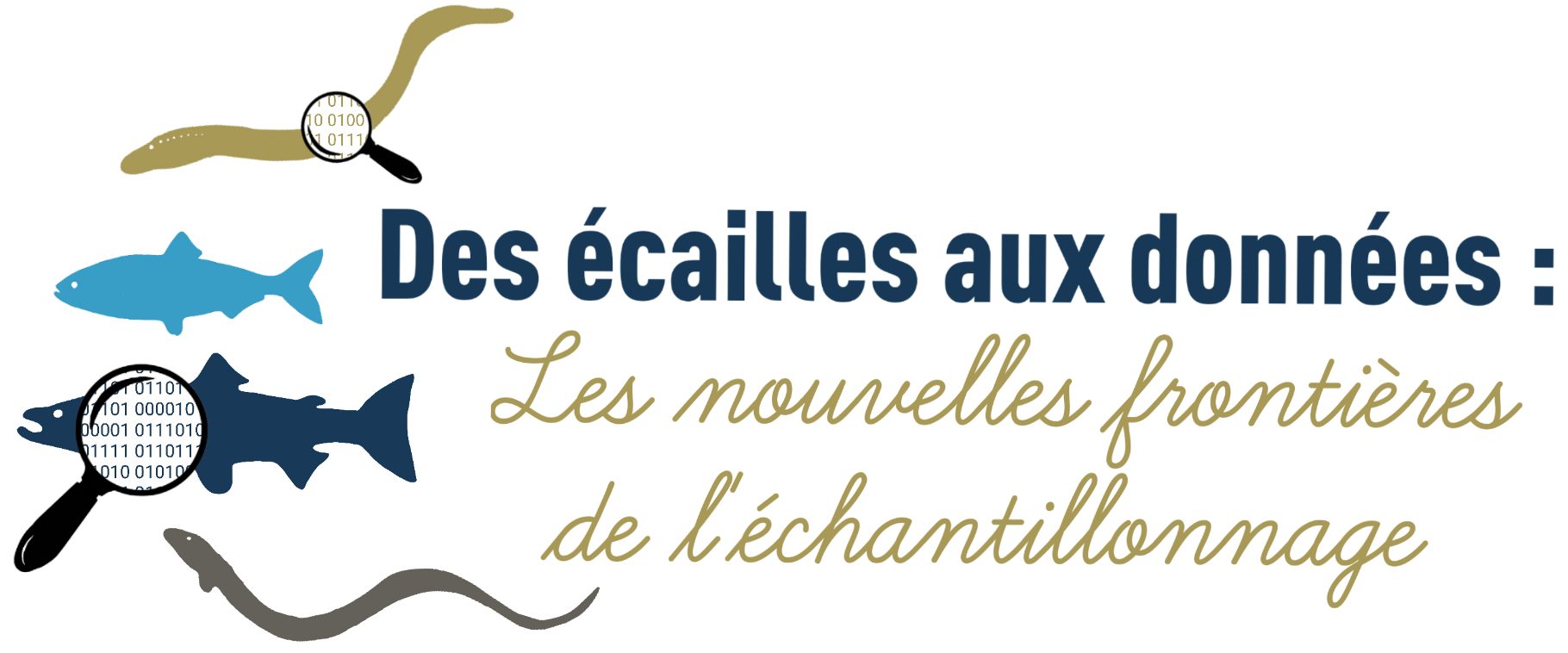 image Les Rencontres Migrateurs de Loire 2025 : 