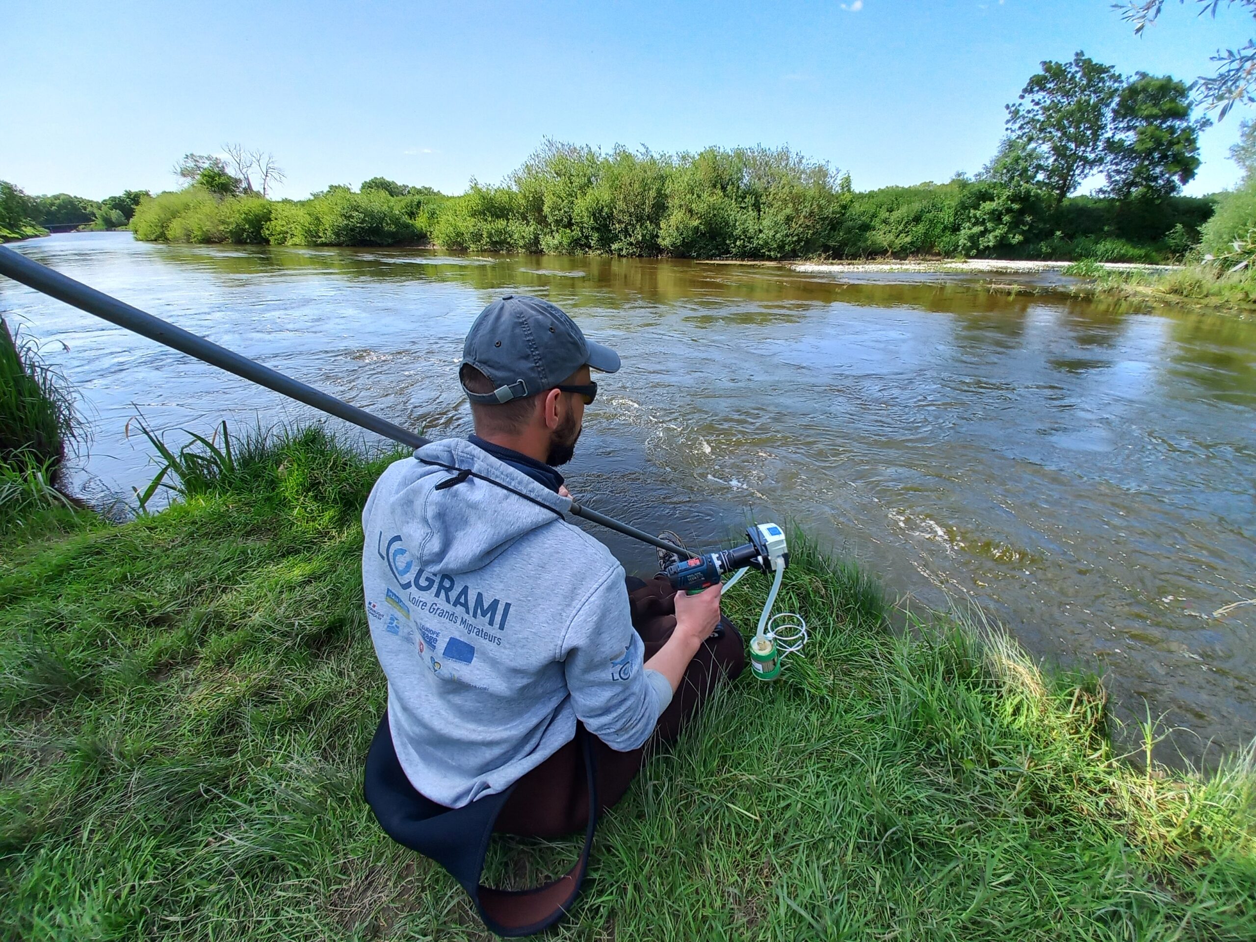 image Suivi des aloses par ADNe, une innovation renforçant les suivis d'espèces amphihalines sur le bassin de la Loire