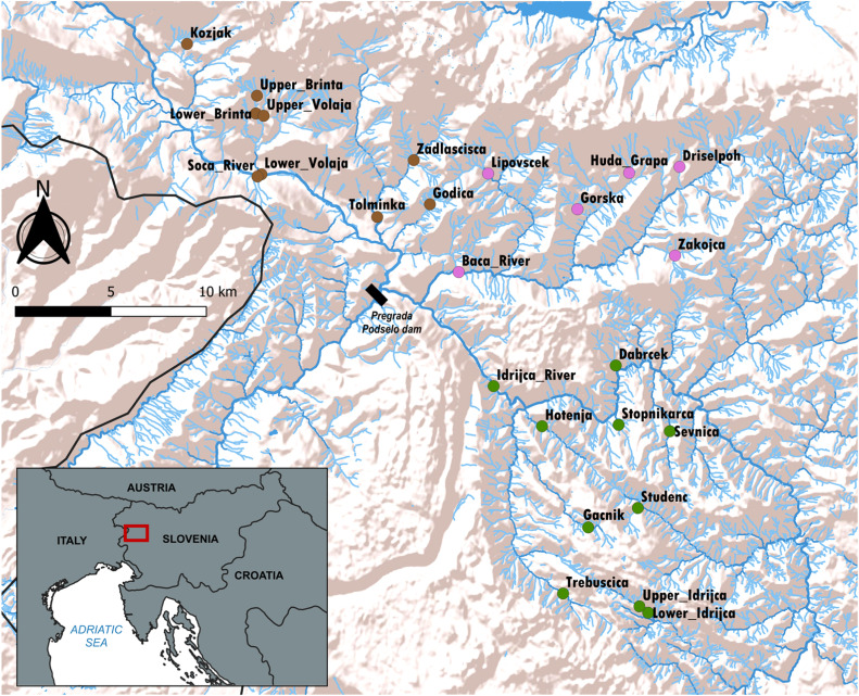 image Quand les rivières se réchauffent : quel avenir pour les truites de la Soča ? – Tour du Valat