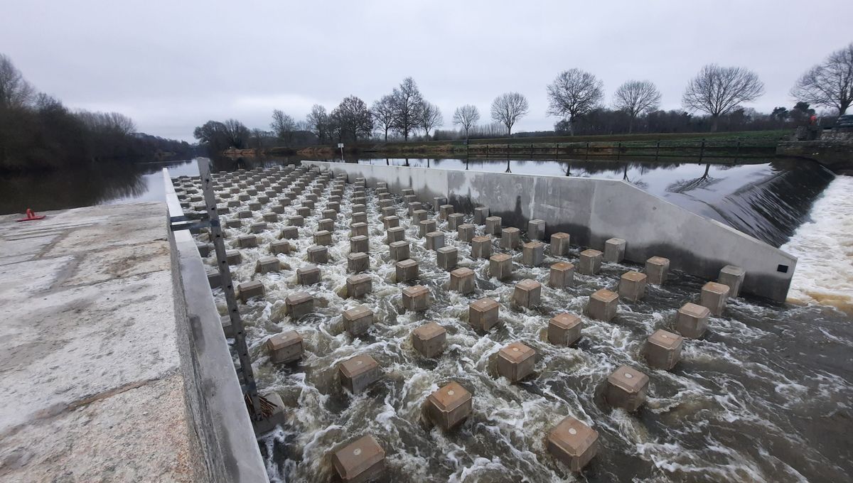 image La plus grande passe à poissons de la Sarthe a ouvert à Fercé