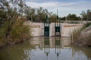 image Suivre l’Anguille européenne pour mieux la protéger : restitution du projet COLAGANG