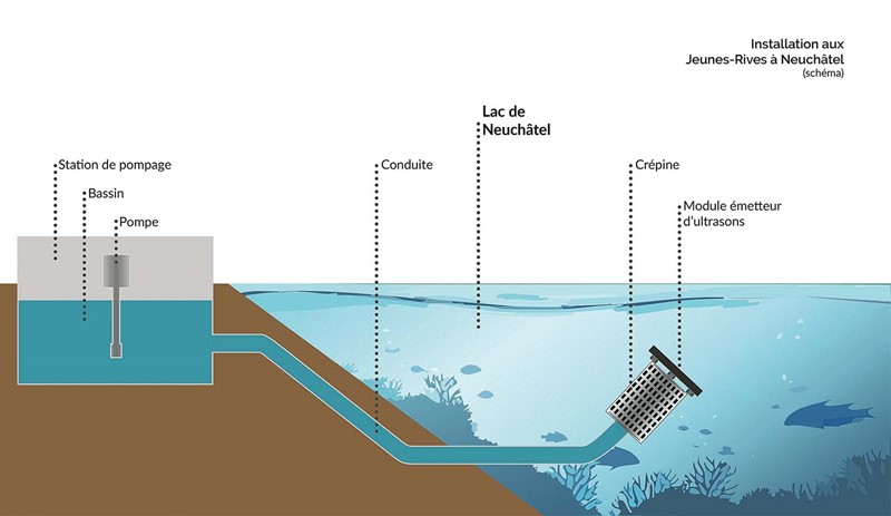 image Moule quagga protection des installations de pompage par ultrasons