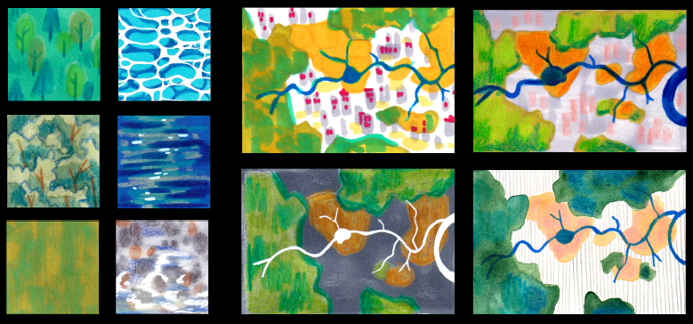 image Hydrosystèmes et relations interspécifiques : regards croisés sur le castor et l'anguille (12 février, Nanterre)