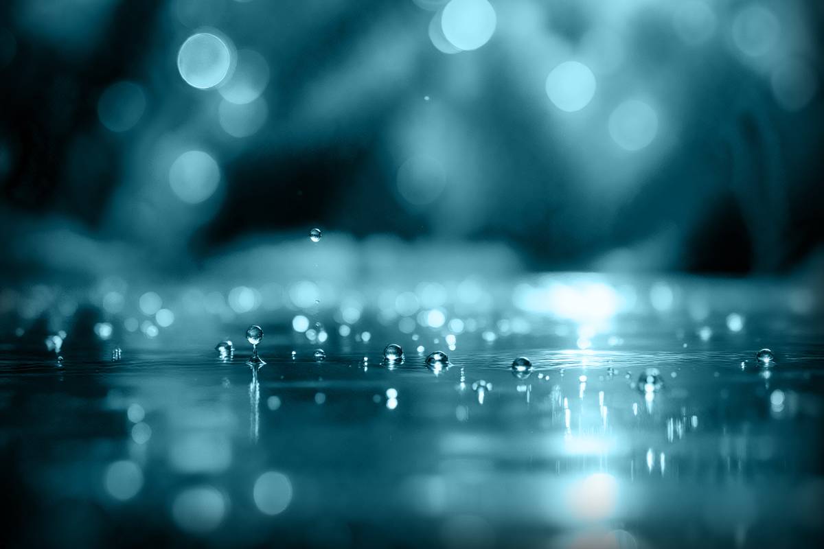 image Présentation de l'Aquathèque, Maison régionale de l'eau