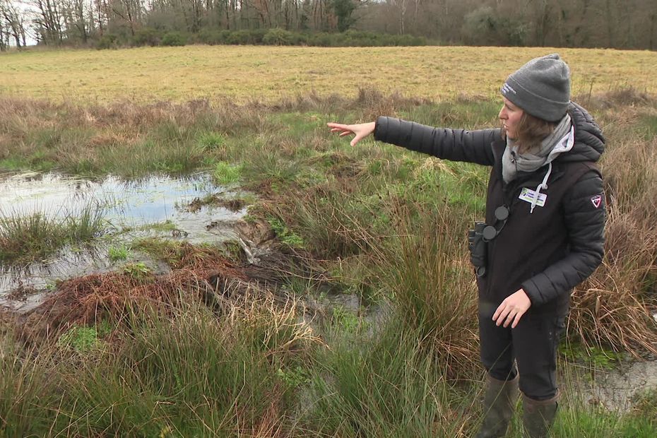 image Les atouts de la 