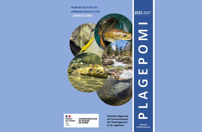 image Nouveau plan pour préserver les poissons migrateurs en Corse