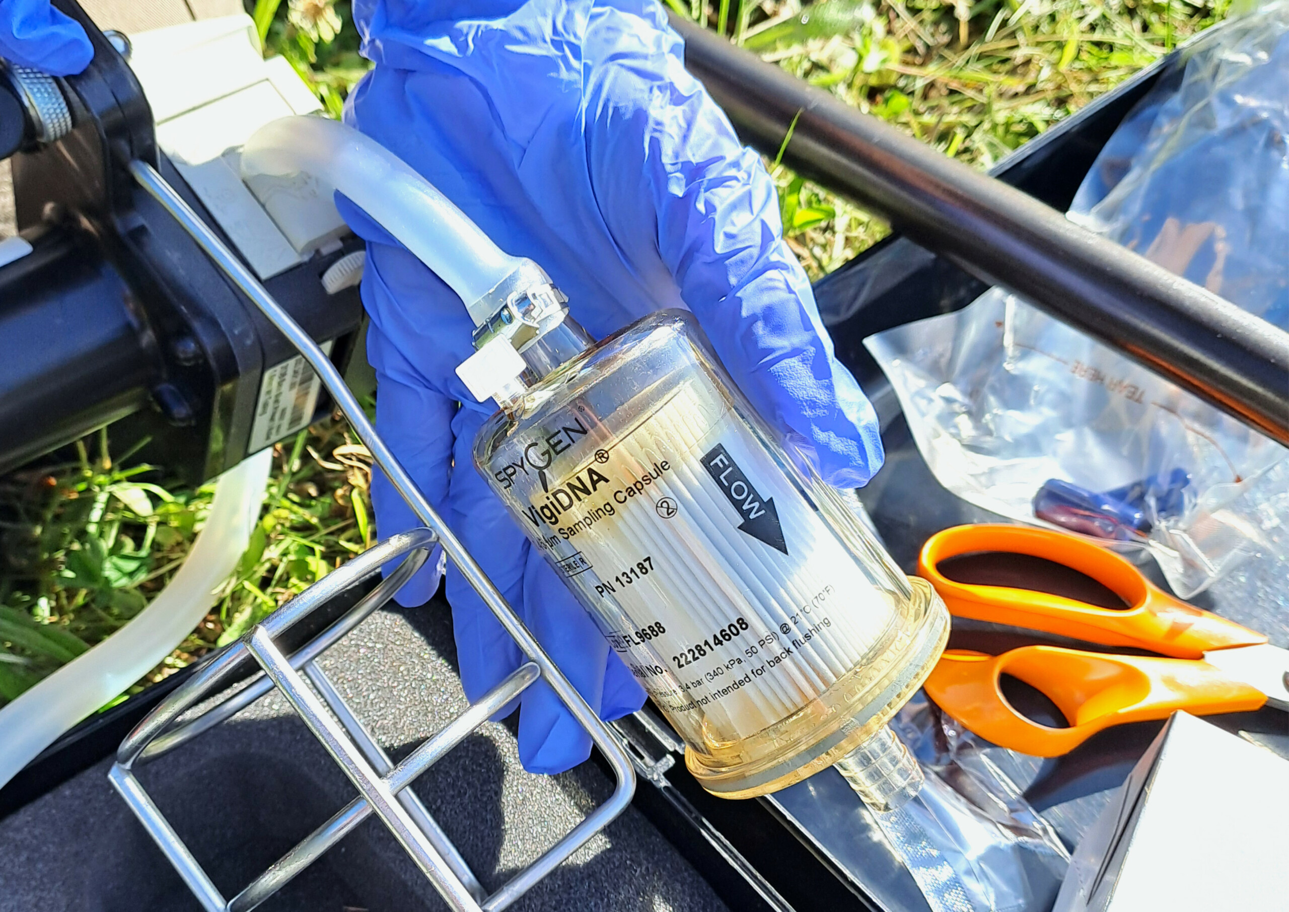 image Suivi ADNe écrevisses – bassin versant de l’Orne (61)