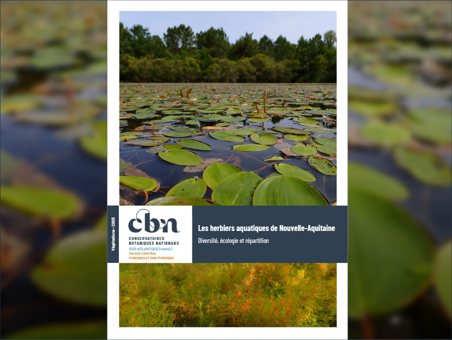 image Les herbiers aquatiques de Nouvelle-Aquitaine : diversité et valeur patrimoniale révélées