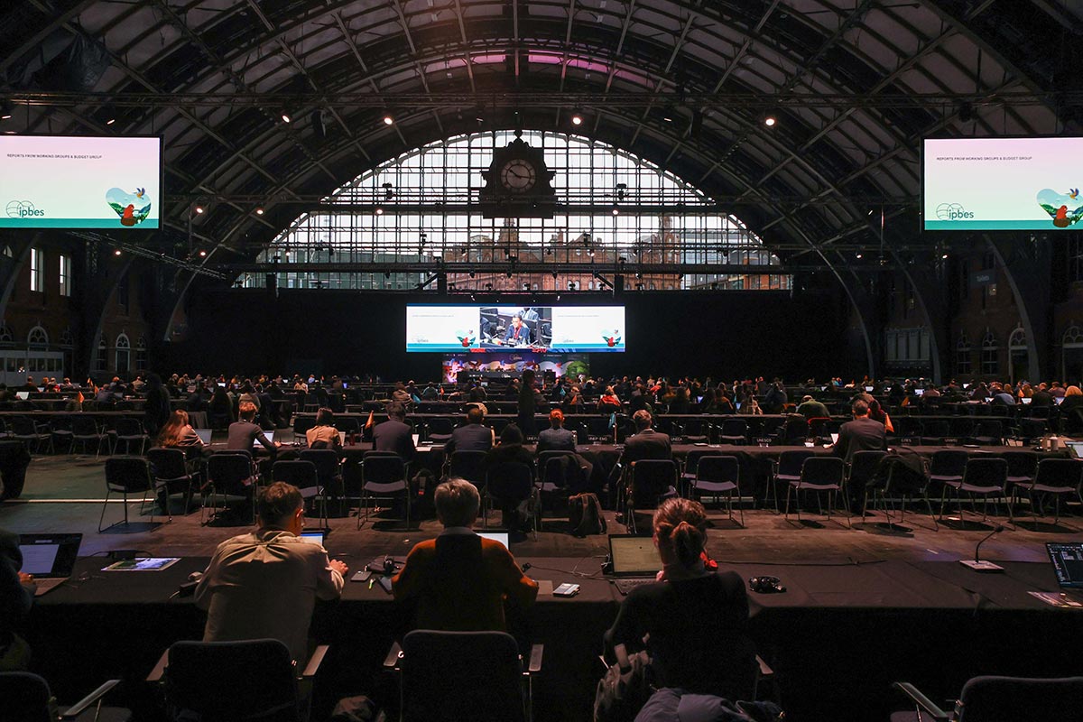 image L’IPBES adopte le premier rapport mondial sur les liens entre entreprises et biodiversité