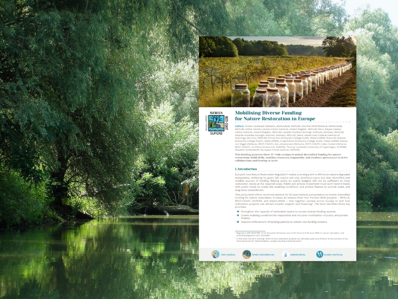 image Mobiliser divers financements pour la restauration de la nature en Europe (note en langue anglaise)