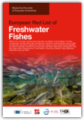 image  Liste rouge européenne des poissons d'eau douce Mesurer le pouls de la biodiversité européenne (version en langue anglaise)
