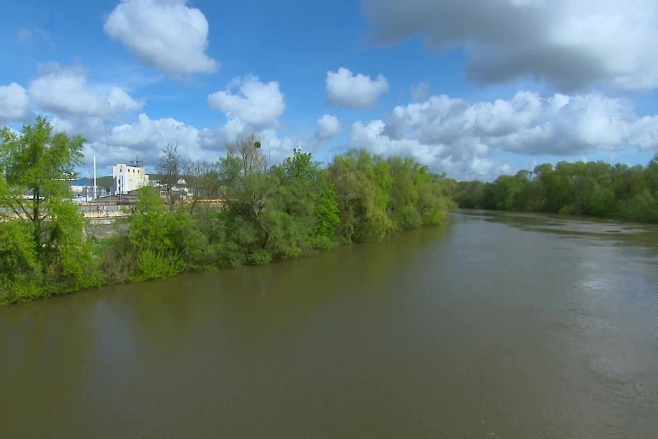 image La préfecture et l'ARS recommandent de ne pas consommer quatre espèces de poissons pêchées à proximité d'une usine chimique