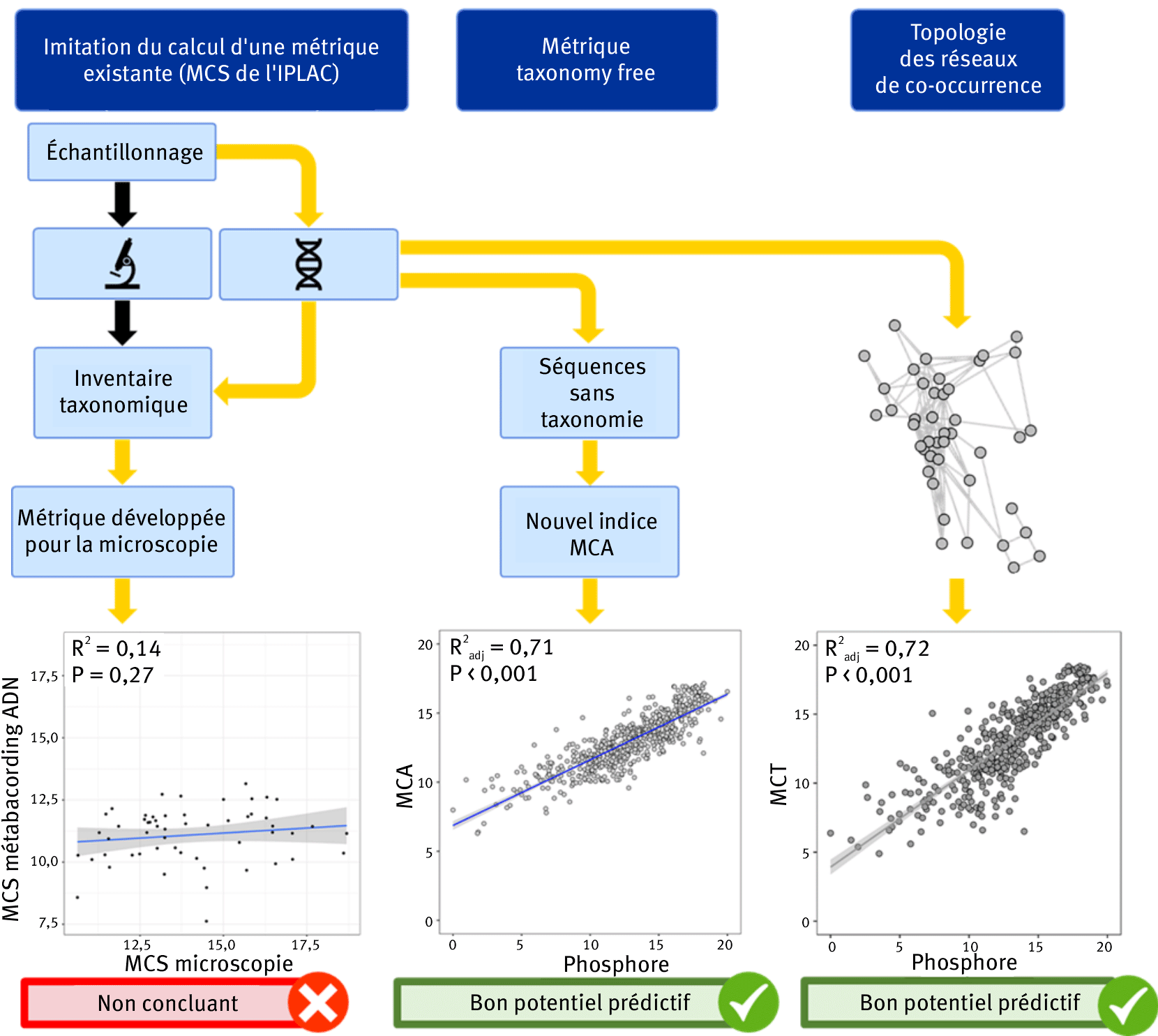 image Analyse du phytoplancton par l’ADN environnemental : nouveaux outils pour évaluer la qualité écologique des plans d’eau 