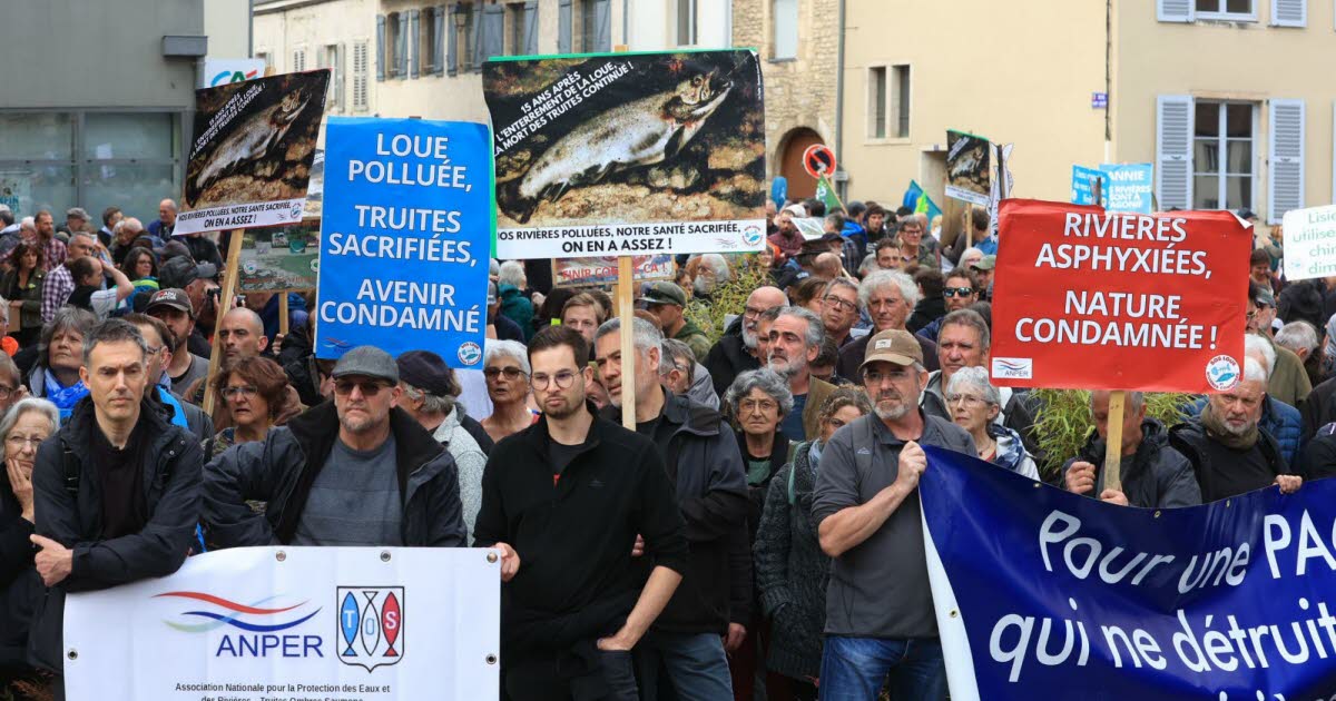 image Des rivières « en bon état écologique » malgré la mortalité de poissons : la Commission européenne réclame des comptes à l’État 