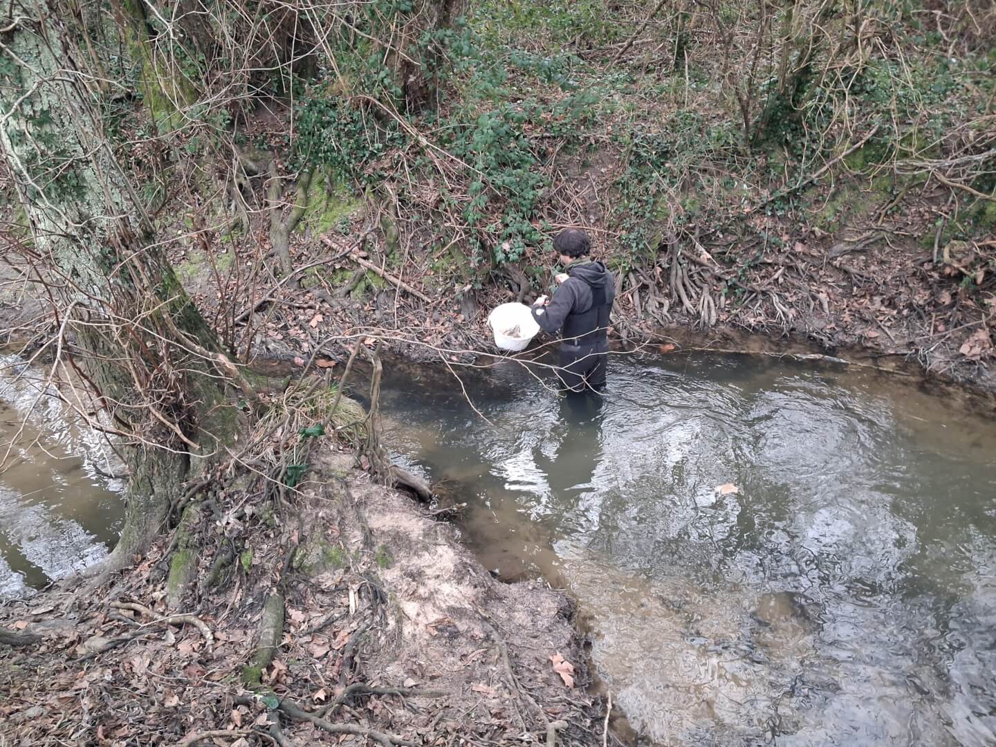 image Bilan des étiages 2025 en Gironde - La pêche en Gironde