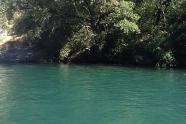 image Journée mondiale des espèces menacées, qu'en est-il des poissons d'eau douce ?