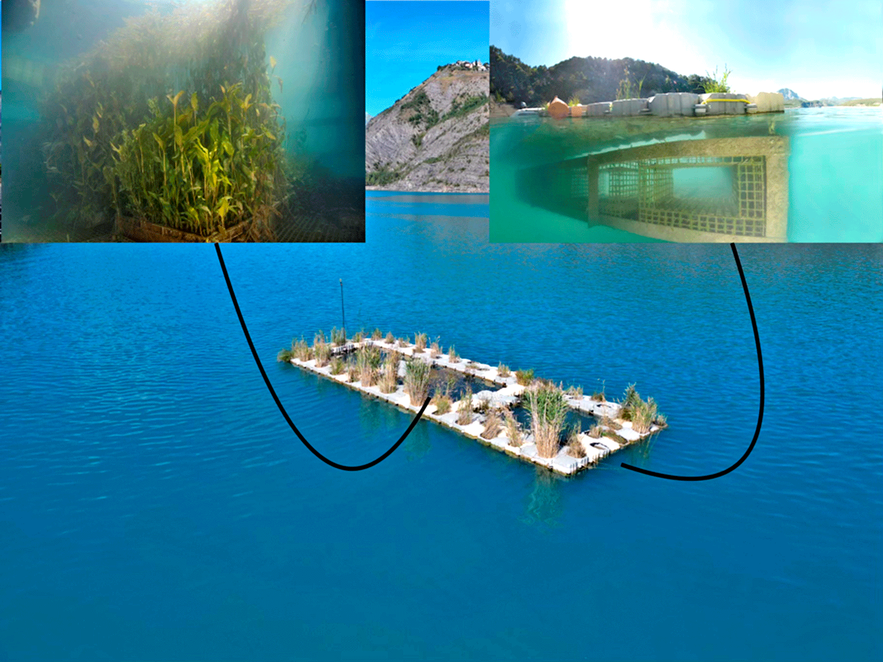 image Atténuer l’impact du marnage artificiel sur la biodiversité des retenues : l’exemple du projet UROS et de ses îlots flottants 