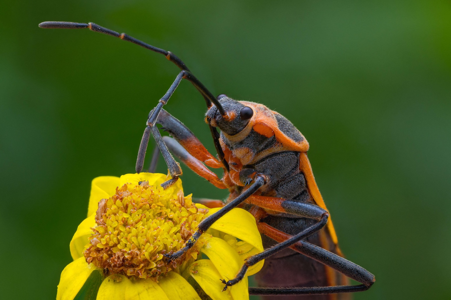 image Analyse : 84 % des pays n’ont pas respecté l’échéance de 2025 pour identifier les subventions néfastes à la nature (article en langue anglaise)