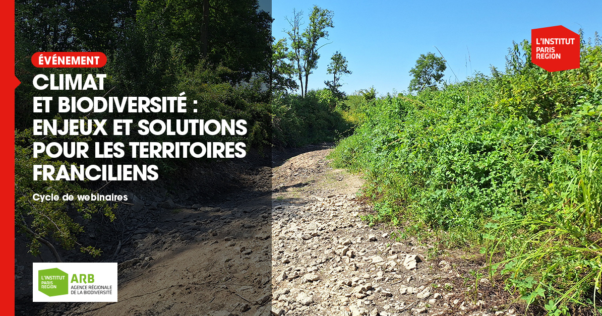 image Climat et biodiversité : enjeux et solutions pour les territoires franciliens (à partir du 10 septembre)