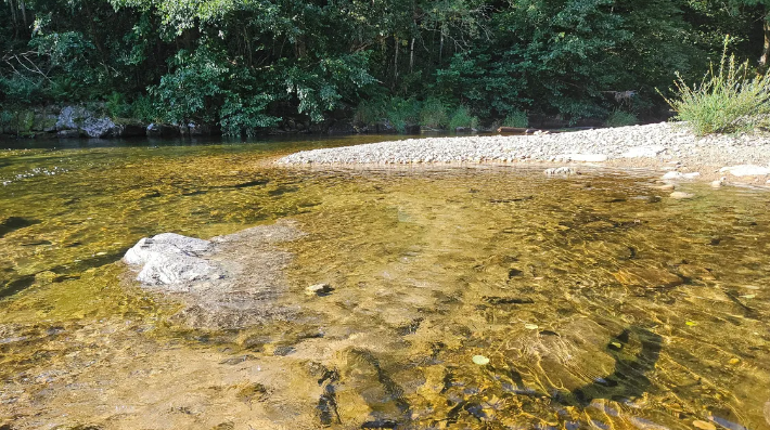 image Le site Natura 2000 « Allier et ses affluents » abrite une faune riche et parfois unique en Ardèche