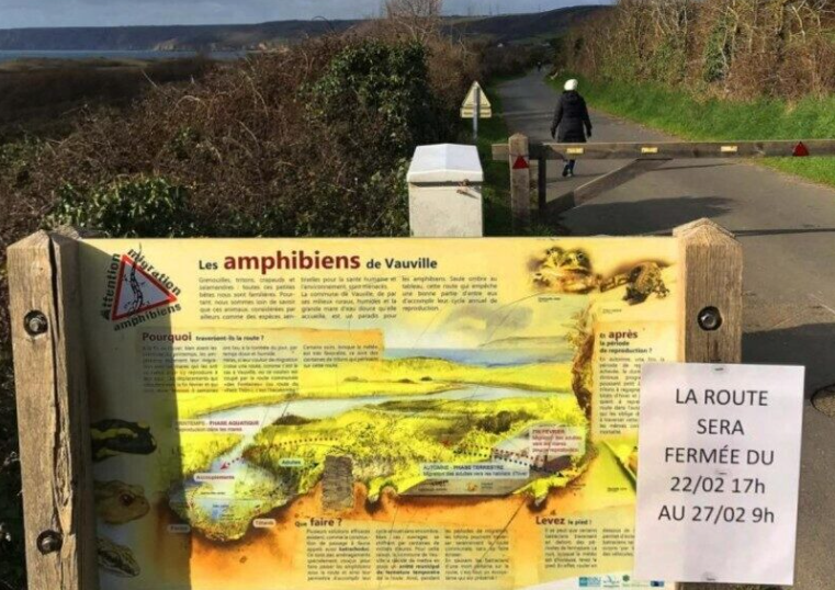 image La Hague. La route du Thôt de nouveau fermée pour préserver les amphibiens