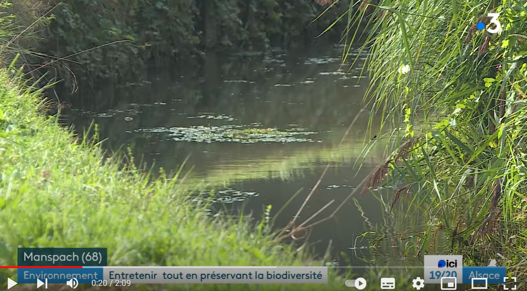 image Entretenir les cours d'eau en préservant la biodiversité