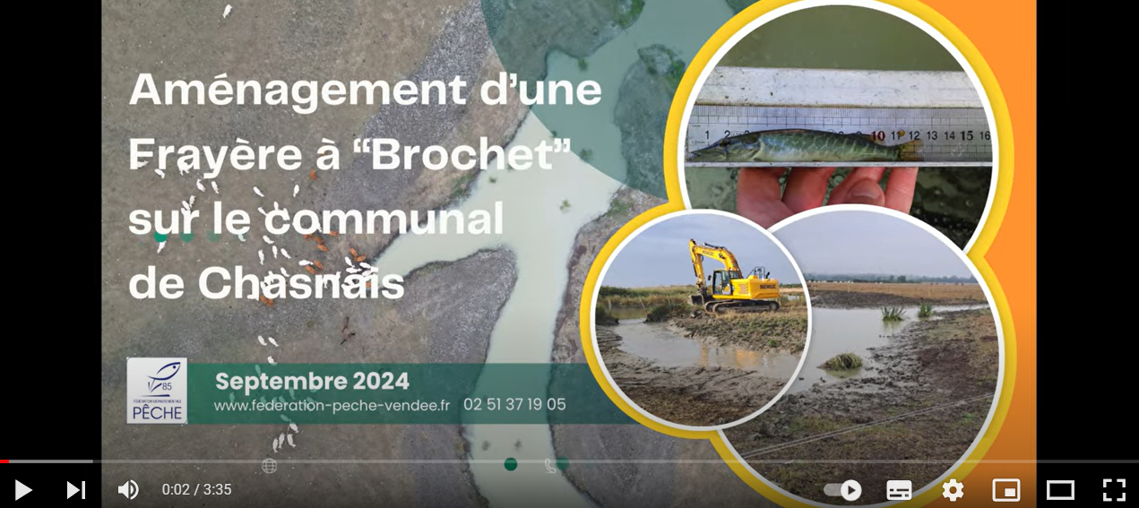 image Aménagement d'une Frayère à Brochet sur le Communal de Chasnay sur le bassin du Lay en Vendée 2024