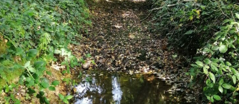 image Fonctionnement biogéochimique et métabolisme des cours d’eau intermittents en contexte tempéré