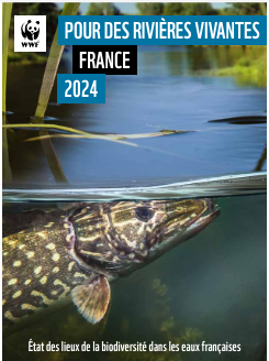 image Un nouveau rapport du WWF France alerte sur le déclin de la biodiversité dans les rivières françaises hexagonales